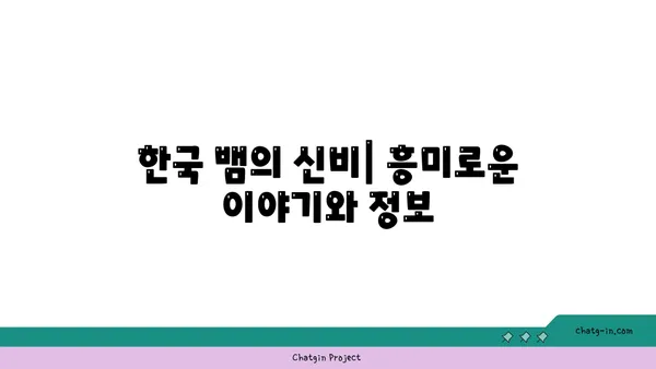 한국산 뱀류 완벽 가이드| 종류, 특징, 서식지, 보호 | 뱀, 파충류, 야생동물, 한국