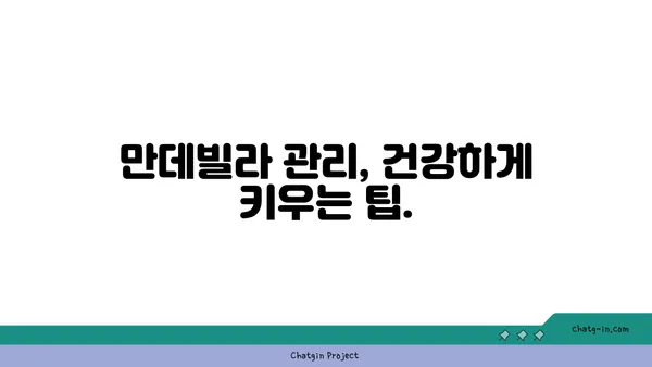 만데빌라 키우기 완벽 가이드| 햇빛, 물주기, 번식까지 | 만데빌라, 덩굴 식물, 실내 식물, 관리법