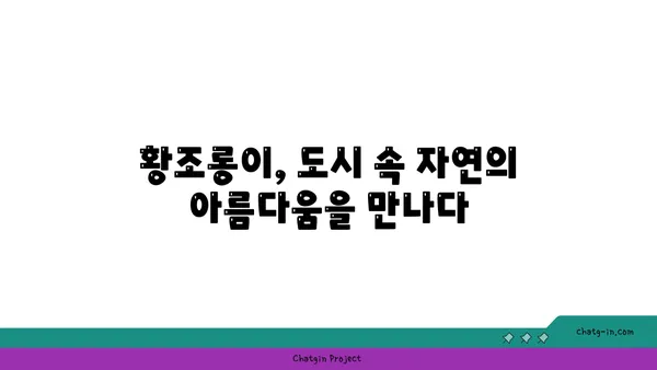 황조롱이 관찰 가이드| 서식지, 생태, 그리고 아름다운 비행 | 조류 관찰, 야생 동물, 자연 다큐멘터리