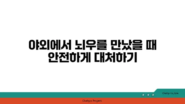 뇌우 발생 시 안전하게 대처하는 방법 | 뇌우 안전, 천둥 번개, 안전 수칙, 행동 요령