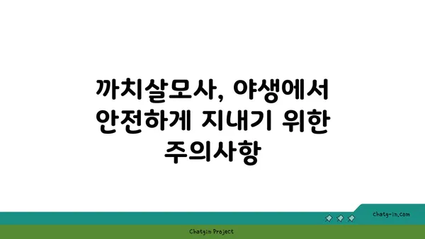 까치살모사| 독성과 응급처치 | 뱀, 독사, 야생동물, 응급처치, 위험