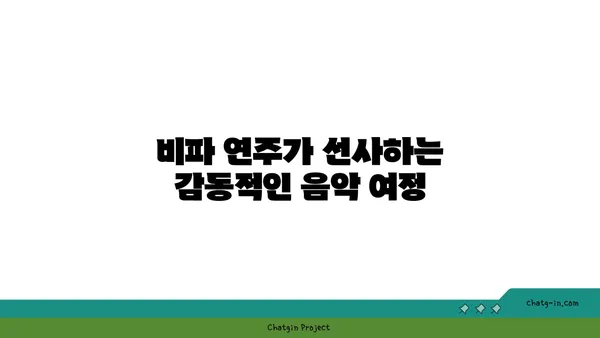 비파 공연의 매력| 관객을 사로잡는 마법 | 비파 연주, 전통 악기, 음악 감상, 공연 예술