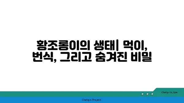 황조롱이 관찰 가이드| 서식지, 생태, 그리고 아름다운 비행 | 조류 관찰, 야생 동물, 자연 다큐멘터리