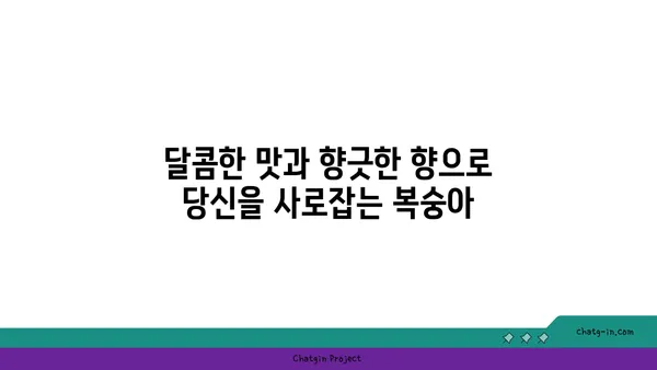 복숭아의 부드러운 매력| 풍부한 섬유소, 비타민, 미네랄의 보고 | 건강, 영양, 과일, 맛