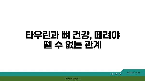 타우린의 힘| 골 건강을 위한 잠재적 이점 | 타우린, 골 건강, 영양, 건강 정보