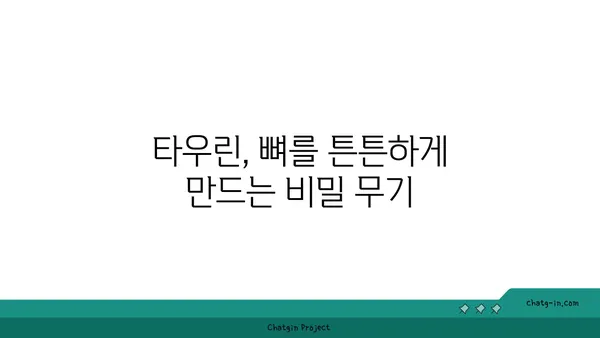 타우린의 힘| 골 건강을 위한 잠재적 이점 | 타우린, 골 건강, 영양, 건강 정보