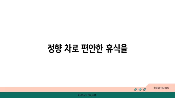 정향의 놀라운 효능과 활용법 | 건강, 요리, 천연 약재, 정향 차, 정향 오일