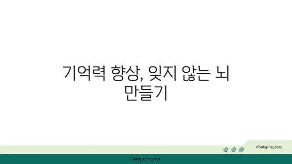 심뇌 기능 UP! 🧠💪  5가지 뇌에 좋은 음식 | 건강, 집중력, 기억력, 영양, 뇌 건강