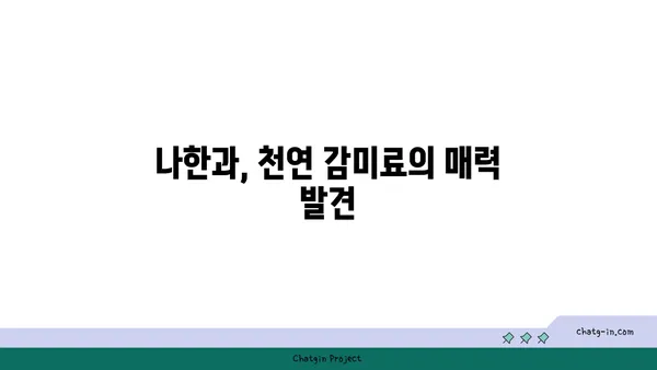 나한과의 달콤한 매력| 건강과 맛을 모두 잡는 나한과 활용법 | 나한과, 천연 감미료, 건강 식단, 다이어트, 요리 레시피