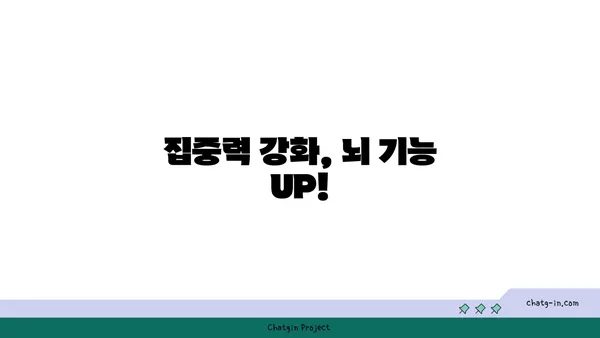 심뇌 기능 UP! 🧠💪  5가지 뇌에 좋은 음식 | 건강, 집중력, 기억력, 영양, 뇌 건강