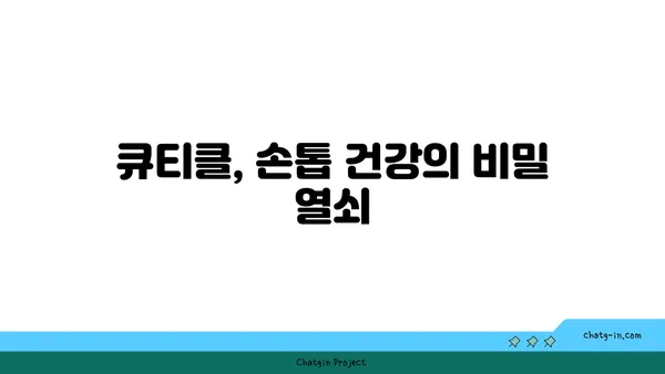 큐티클 관리의 모든 것| 건강하고 아름다운 손톱을 위한 완벽 가이드 | 손톱 관리, 큐티클 케어, 손톱 건강