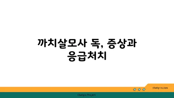 까치살모사| 독성과 응급처치 | 뱀, 독사, 야생동물, 응급처치, 위험