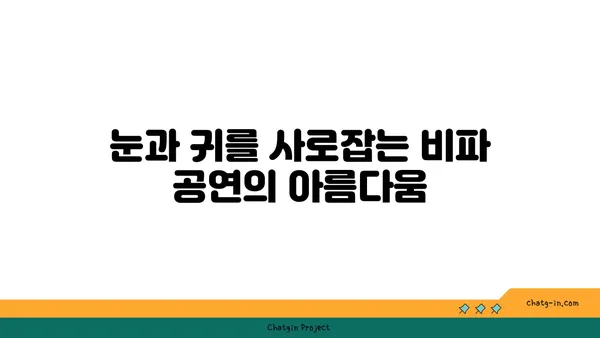 비파 공연의 매력| 관객을 사로잡는 마법 | 비파 연주, 전통 악기, 음악 감상, 공연 예술