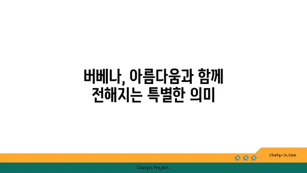 버베나의 매력, 꽃말과 함께 만나보세요 | 허브, 꽃, 식물, 정원, 의미