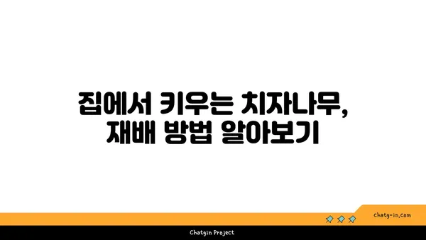 치자나무의 매력, 꽃과 열매 그리고 효능까지 | 치자, 꽃차, 약효, 재배, 품종