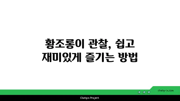 황조롱이 관찰 가이드| 서식지, 생태, 그리고 아름다운 비행 | 조류 관찰, 야생 동물, 자연 다큐멘터리