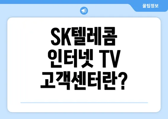 SK텔레콤 인터넷 TV 고객센터란?