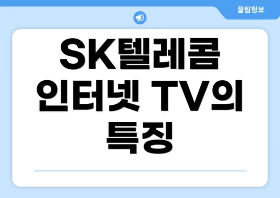 SK텔레콤 인터넷 TV의 특징