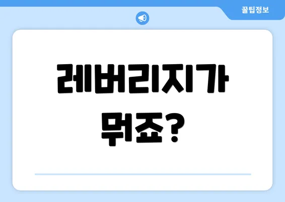 레버리지가 뭐죠?