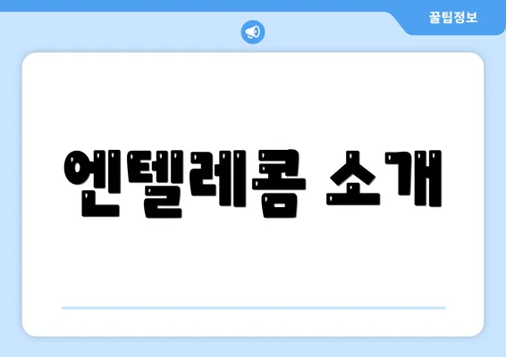 엔텔레콤 소개