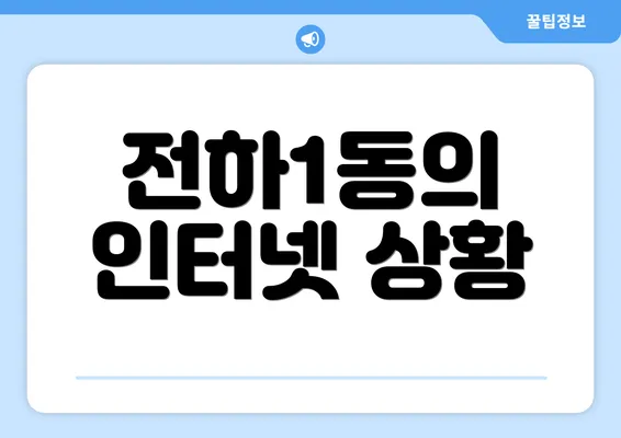 전하1동의 인터넷 상황