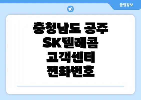 충청남도 공주 SK텔레콤 고객센터 전화번호