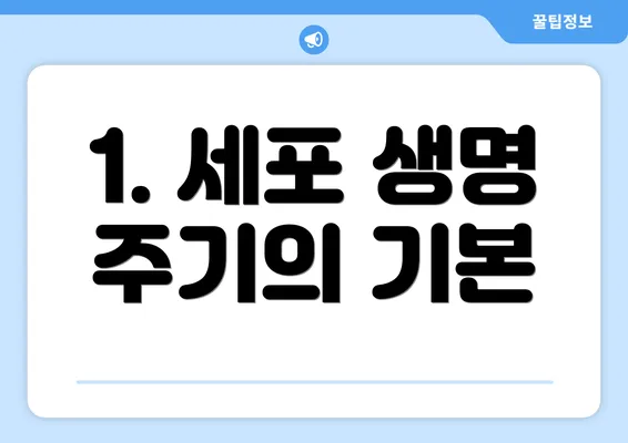 1. 세포 생명 주기의 기본