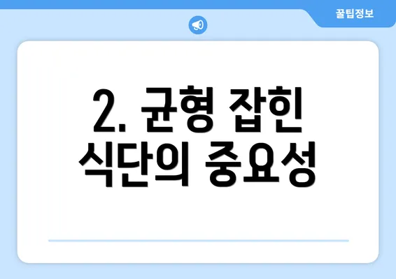 2. 균형 잡힌 식단의 중요성