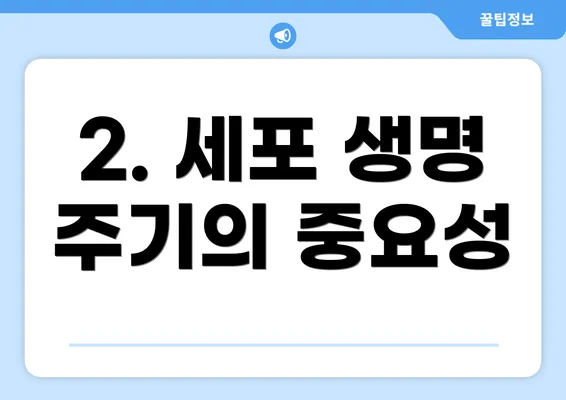 2. 세포 생명 주기의 중요성