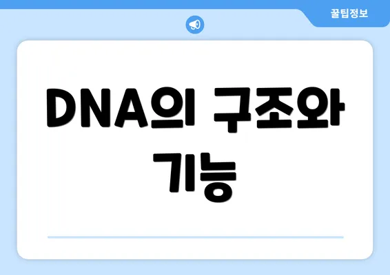 DNA의 구조와 기능