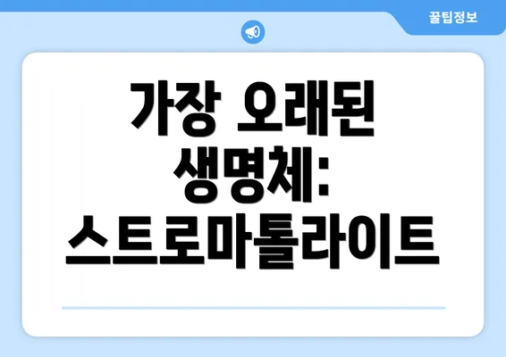 가장 오래된 생명체: 스트로마톨라이트