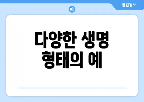 다양한 생명 형태의 예