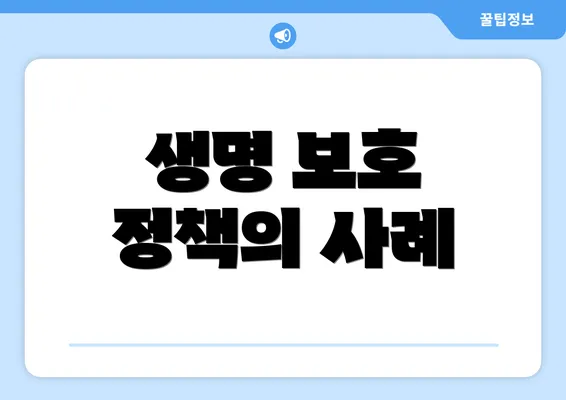 생명 보호 정책의 사례