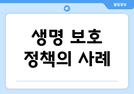 생명 보호 정책의 사례