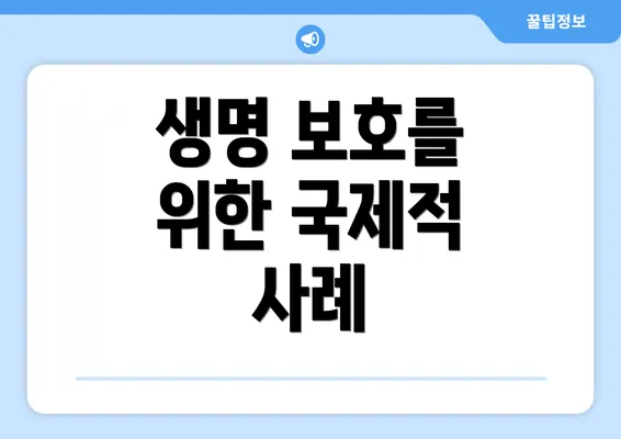 생명 보호를 위한 국제적 사례