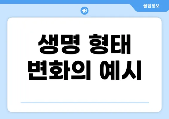 생명 형태 변화의 예시
