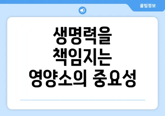 생명력을 책임지는 영양소의 중요성