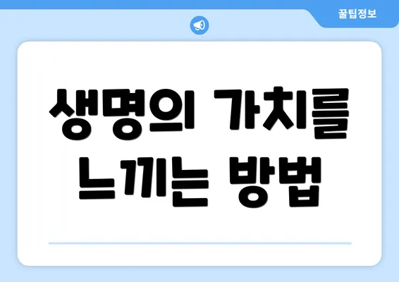 생명의 가치를 느끼는 방법