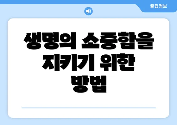 생명의 소중함을 지키기 위한 방법