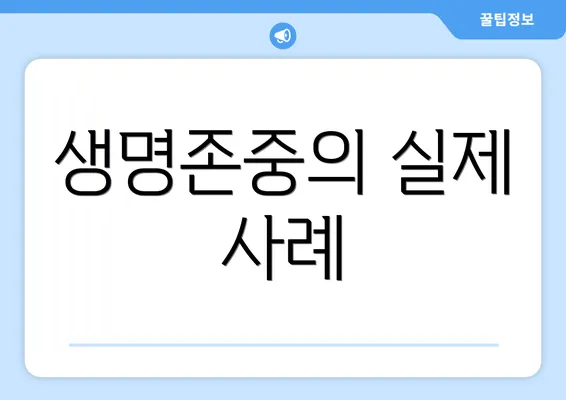 생명존중의 실제 사례