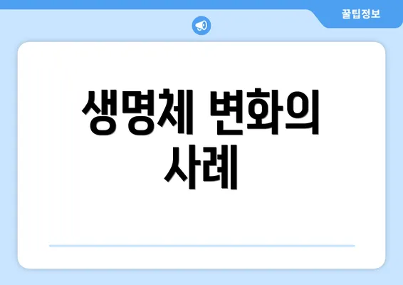생명체 변화의 사례