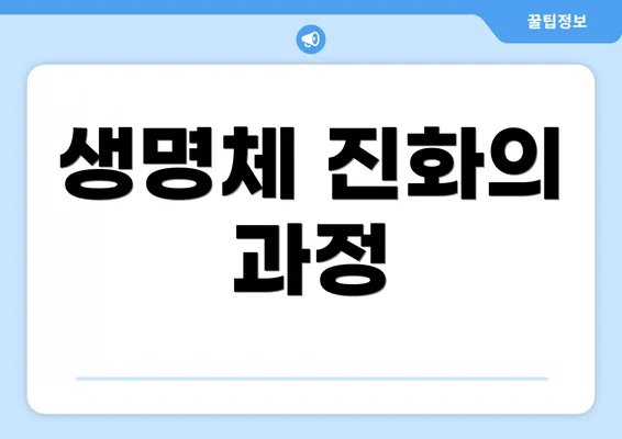 생명체 진화의 과정
