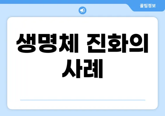 생명체 진화의 사례