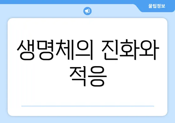 생명체의 진화와 적응