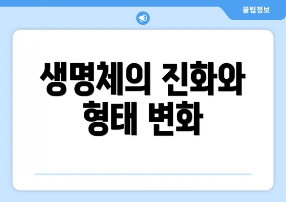 생명체의 진화와 형태 변화
