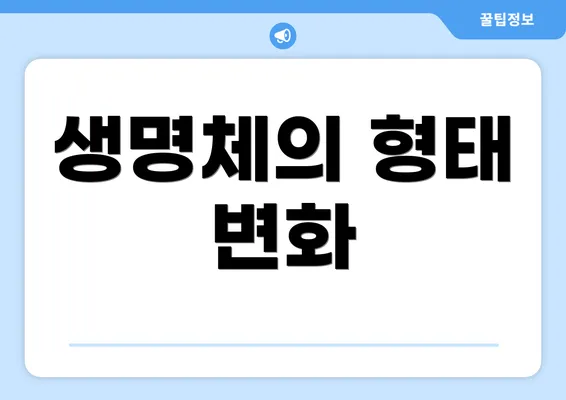 생명체의 형태 변화