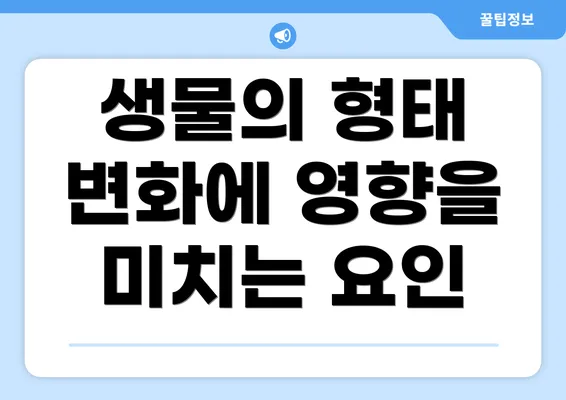 생물의 형태 변화에 영향을 미치는 요인