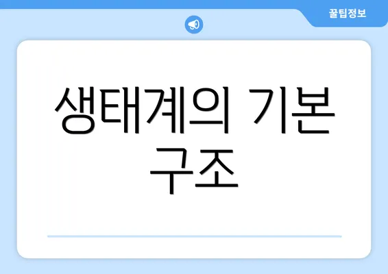 생태계의 기본 구조
