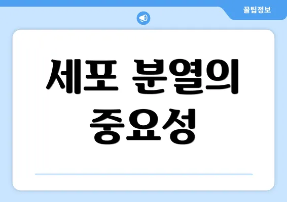 세포 분열의 중요성