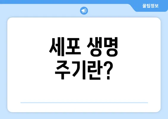 세포 생명 주기란?
